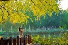 兑彩足球比分直播-兑彩足球比分直播，足球盛宴的实时伴侣