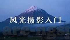 足球网即时比分足球比分-足球网即时比分，一场数字背后的激情与策略交响曲